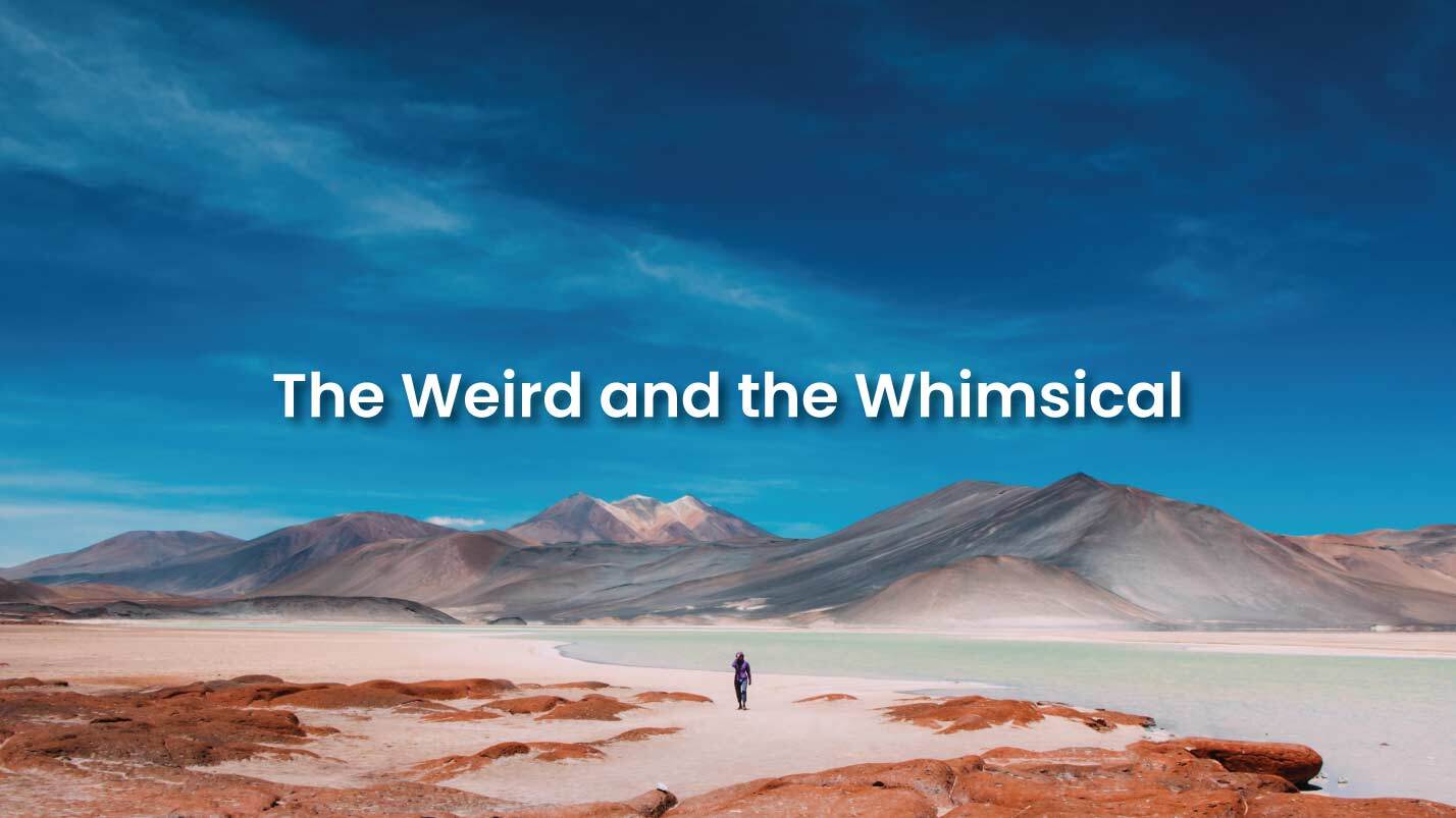 Weird and the Whimsical- Immersion Journeys