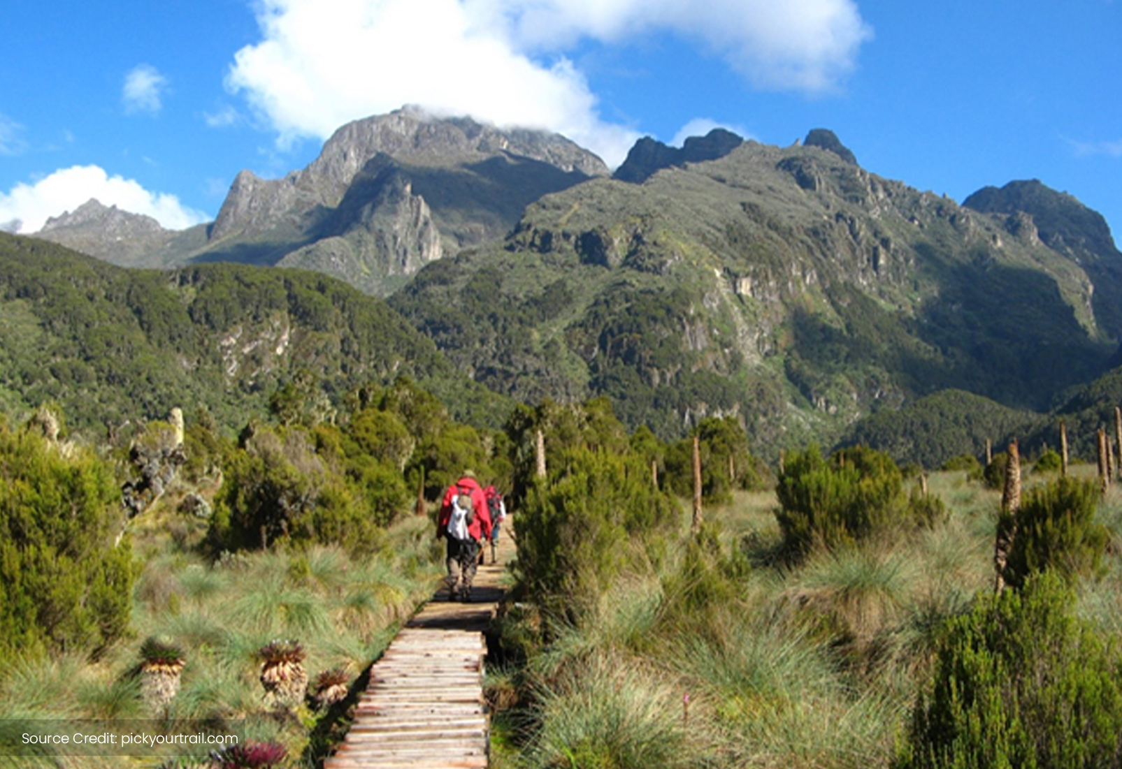 Rwenzori mountains- Uganca- African Destination- Immersion Journeys