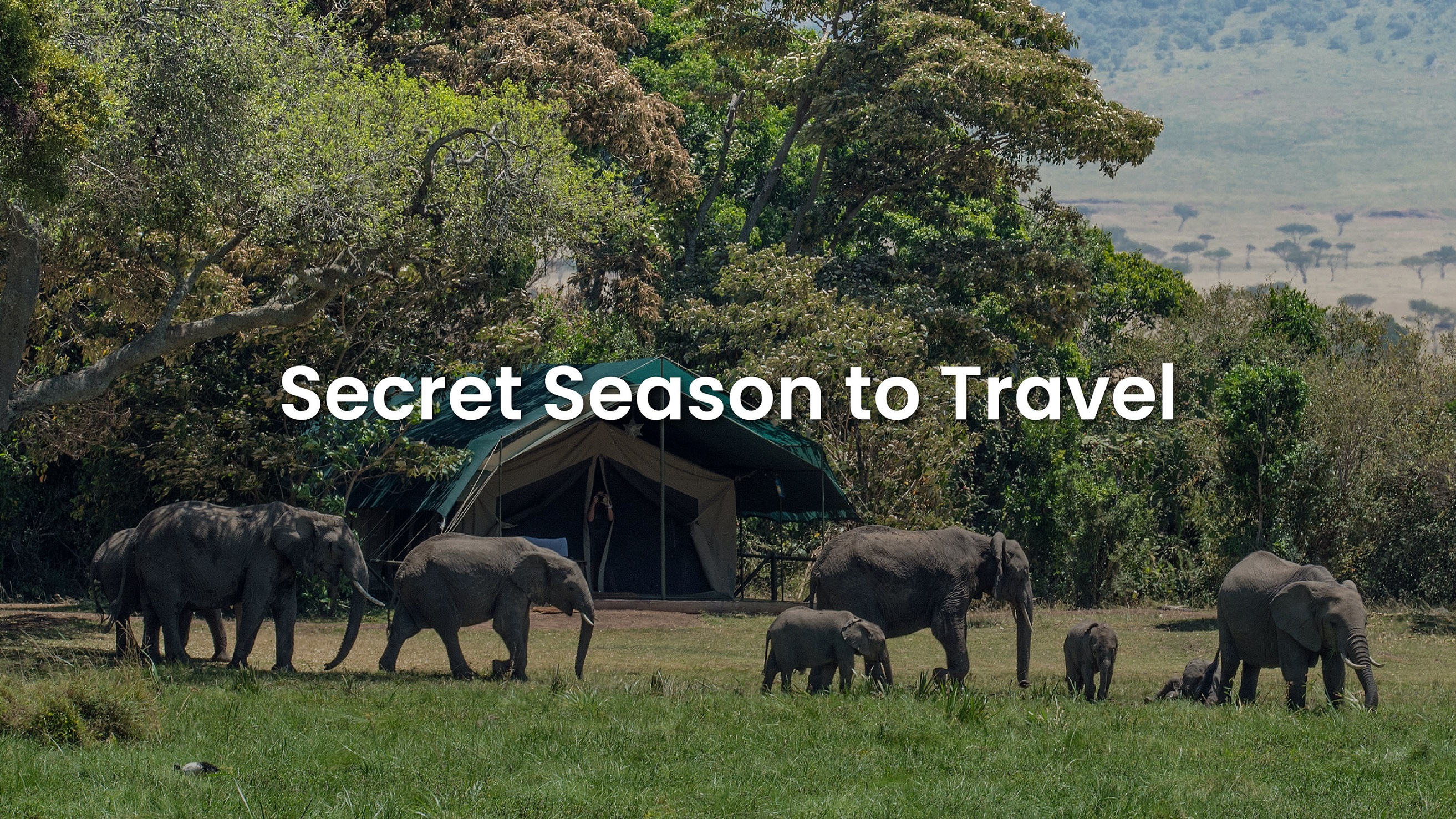 Secret Season to Travel- Banner- Immersion Journeys